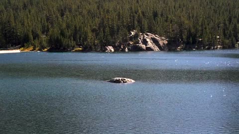 Calm lake with raindrops