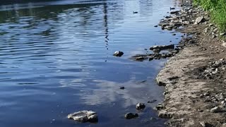 Evening on the Grand River