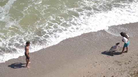 Funny stand and dog playing on the beach