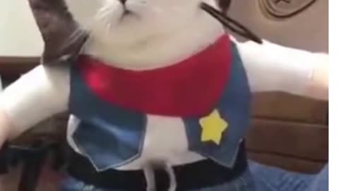 Cute Cat Costumes