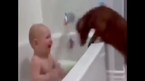 funny videos baby