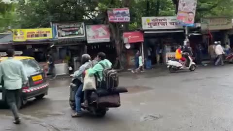 Injured Crow