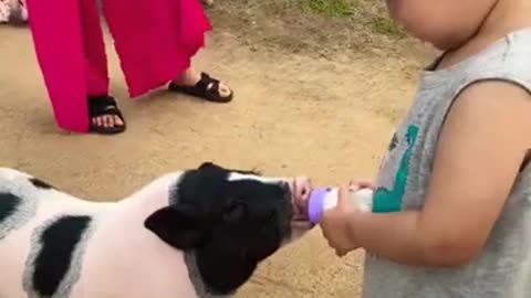 Cute baby with piggy baby with fun and milk