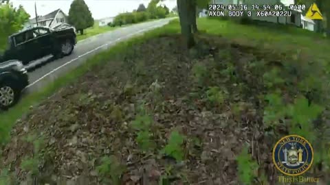 New York State police trooper pinned against a tree and Amish wagon when stopping a runaway wagon