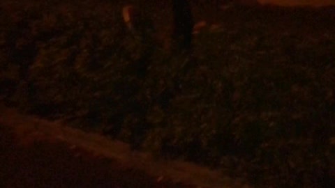 Guy runs and spins into bushes at night