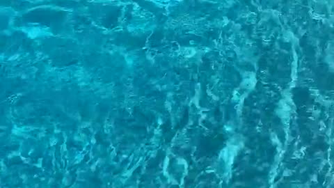 Chasing a Random Fish in Circles Around Pool