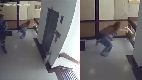 on cam : Mom saves toddler from falling off building stairwell