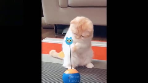 CUTE AND FUNNY! Cute Pets Getting Scared By Toys!