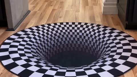 Dogs funny reaction to entering optical illusion rug!