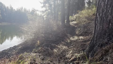 Hiking Beside a Small Pond Bog on Deschutes River Trail – Central Oregon – 4K