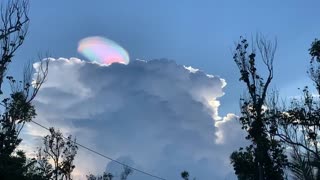 Stunning Pileus Iridescent Cloud Shines in the Sky