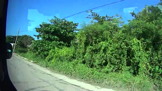 A Cab Ride Through Mexico, Puerto Morelos