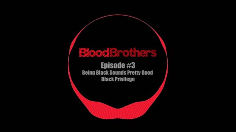 #3 - Being Black Sounds Pretty Good - Black Privilege | Blood Brothers