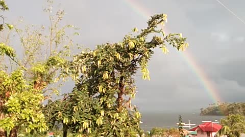 Beautiful Rainbow in the Island facing Pacific Ocean