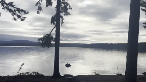 The Cove – Timothy Lake – Mount Hood – Oregon – 4K