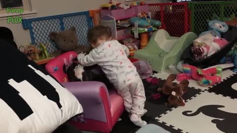 Puppies and Babies Playing Together Compilation