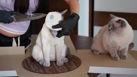 traumatizing my cat by cutting into a cake that looks like him