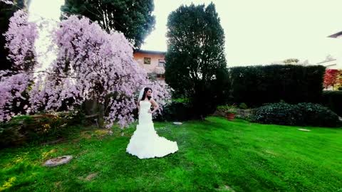 Wedding Video