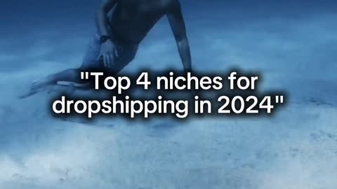 4 niches for dropshipping in 2024 #dropshipping #ecommerce #ecom