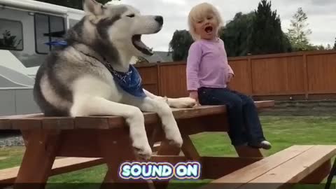 dog imitating the child🤗😂😂😂