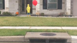 Lawn Has Iconic Halloween Decorations