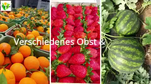 Albaniens Schätze der Natur, feines Obst und Gemüse, so gut so günstig