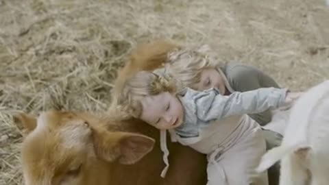 Little Girls Hugging a Cattle