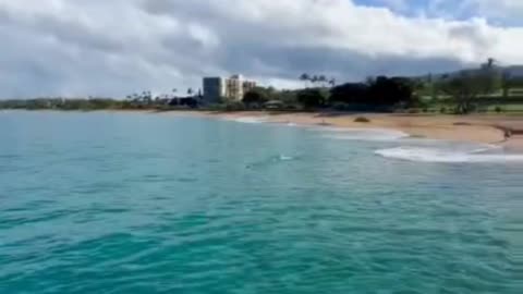 📍Keka’s Landing Pier 🤩 Ka’anapali, Hawaii on Maui 🌺