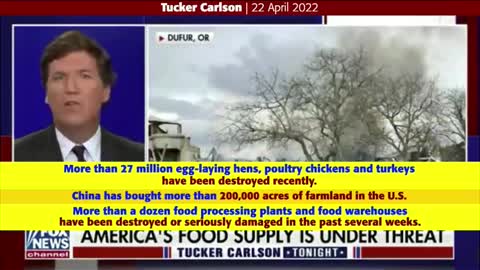 Destroy Food Supply Chain: Gov't Sanctioned Killing 27M Chicks & Turkeys