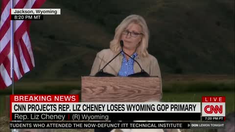 Sore Loser Liz Cheney Trashes Trump, Accidentally Reveals Just How Many People Have Woken Up