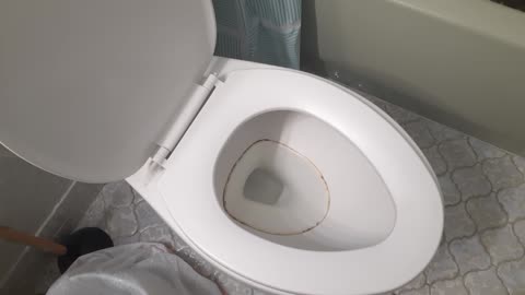 Ring Around The Toilet