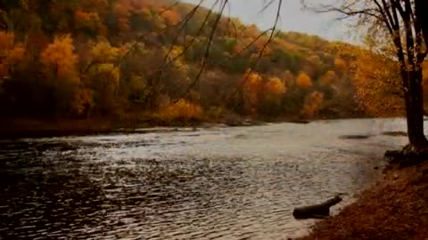 SHENANDOAH-Traditional American Folk Song- Performed by Tom Roush