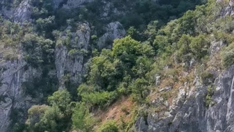 Danube in summer!