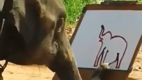 Elephant Drawing elephant Amazing Art Video