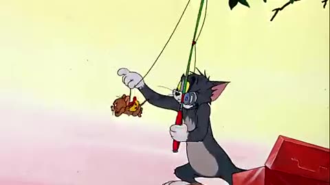 Tom and jerry funny vedios