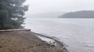 Ethereal & Mystical Timothy Lake – Mount Hood – Oregon – 4K