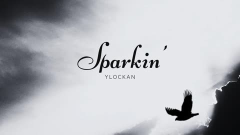 SPARKIN'