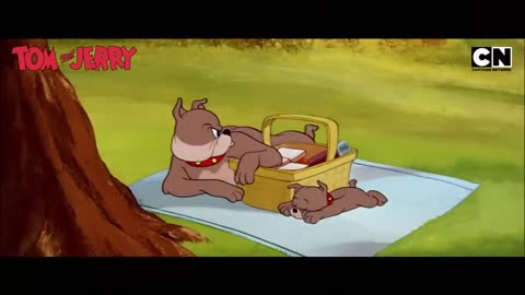 Tom 😺 & Jerry’s 🐭 Evergreen Mayhem! 😜 | Classic Fun & Hilarious Escapades!