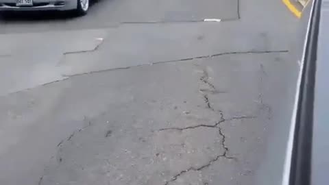 Lady Attempts to Block Traffic in Honolulu