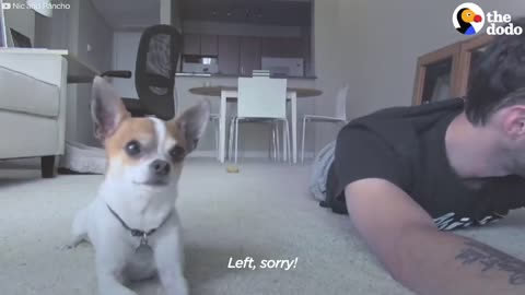 Dog Copies Every Single Yoga Pose His Dad Does 😍😍