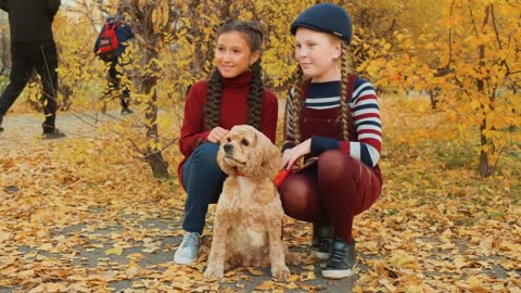 Two girl teenagers sitting with cocker spaniel dog in autumn park