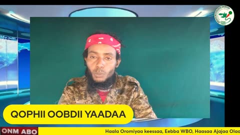 Qophii Oobdii Yadaa ONM-ABO Hagayya 17-2024 itti dhiyaadhaa!