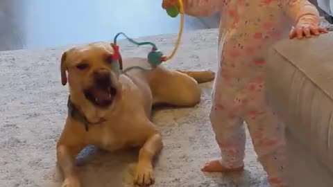 Cute baby playing with pet