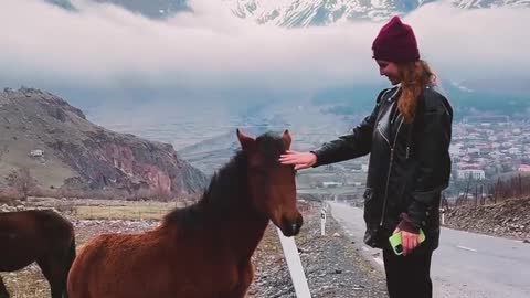 The cutest little toddler horse rider and her pony