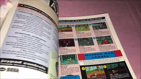 Do you remember the strategy guides? /¿Recuerdas las guías de estrategias?