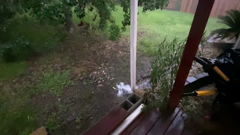 Torrential downpour 06/24/2021