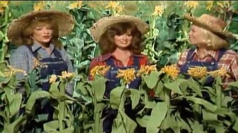 The StatlerBrothers on hee haw