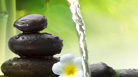 Relaxing Music Bamboo Water Fountain Meditation Music Sleep Music Piano Music Stress Relief Music