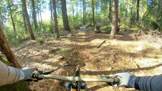 Bumpy Meadows MTB Trail November 15 2020