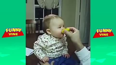 Babies Eating Lemons for The First Time / Funny Kids Videos